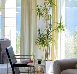 Luxury 5 Bedroom Beachfront Villa near Dubrovnik, Sleeps 11-12